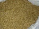 Ječmen a pšenice pytlované po 50 kg.